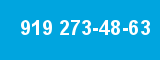 919 273-48-63